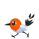 fletchling