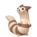 furret