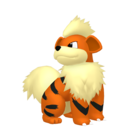 growlithe