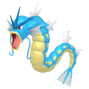 gyarados
