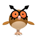 hoothoot