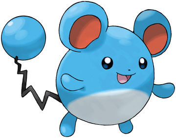 Marill-Pokedex