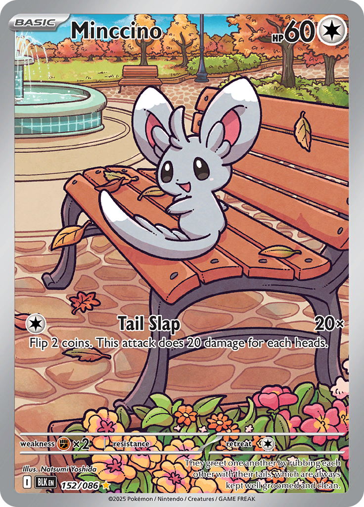 Minccino-152-Black Bolt