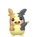 morpeko