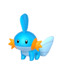 mudkip
