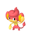 pansear