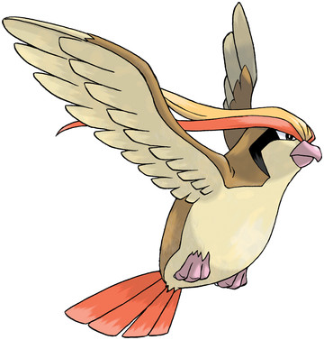 Pidgeot-Pokedex