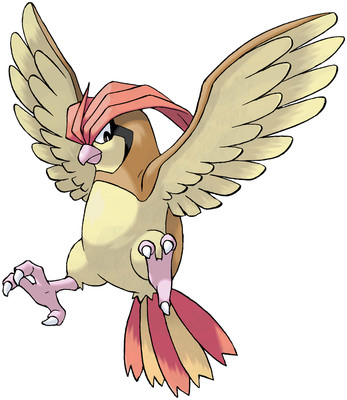 Pidgeotto-Pokedex