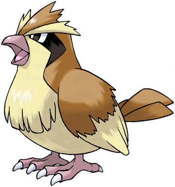 Pidgey-Pokedex