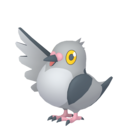 pidove