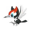 pikipek