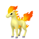 ponyta