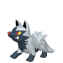 poochyena