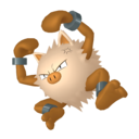 primeape