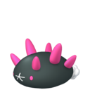 pyukumuku