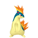 quilava