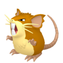 raticate
