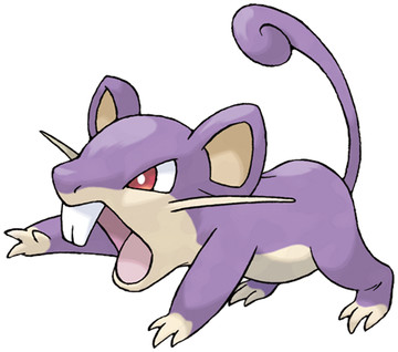Rattata-Pokedex