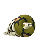 sandaconda