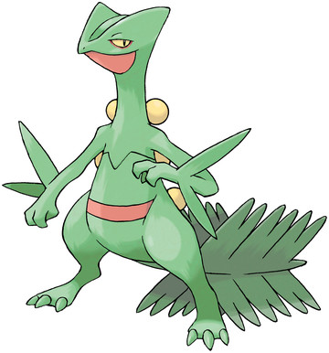 Sceptile-Pokedex