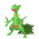 sceptile