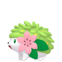 shaymin
