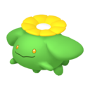 skiploom