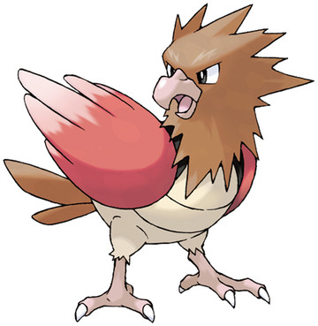 Spearow-Pokedex