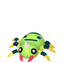 spinarak