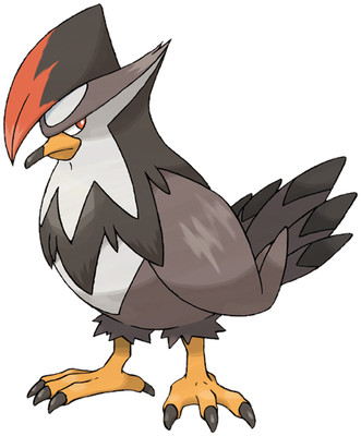 Staraptor-Pokedex