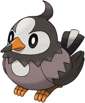 Starly-Pokedex