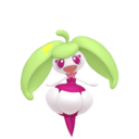 steenee