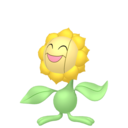 sunflora