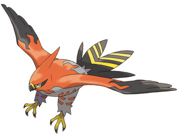Talonflame-Pokedex