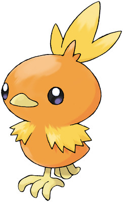 torchic