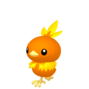 torchic
