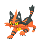 torracat