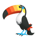 toucannon