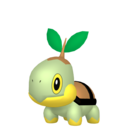 turtwig