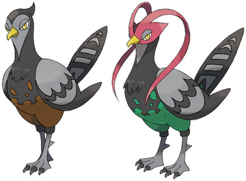 Unfezant-Pokedex