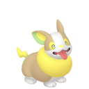 yamper