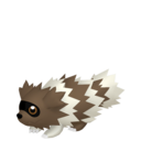 zigzagoon